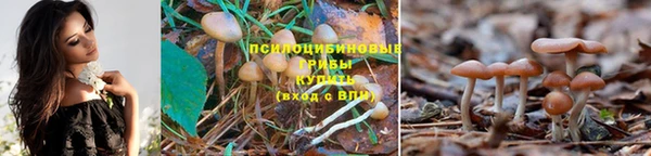 амфетамин Сосновка