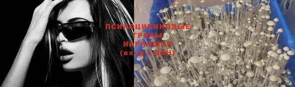 spice Кулебаки