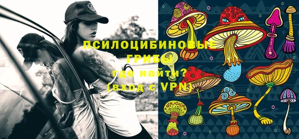 таблы Сосновоборск