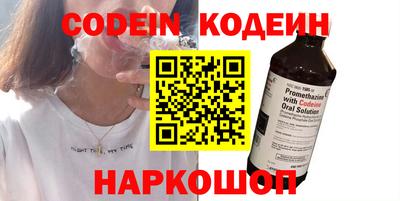 индика Камышлов