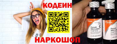 индика Камышлов
