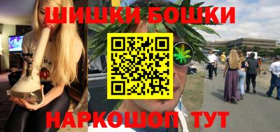 индика Камышлов
