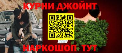 индика Камышлов