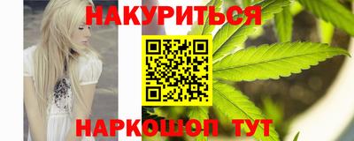 индика Камышлов
