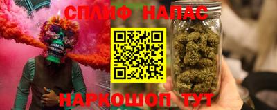 индика Камышлов
