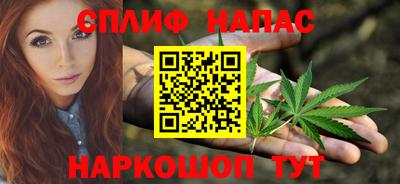 индика Камышлов