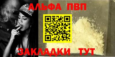 индика Камышлов