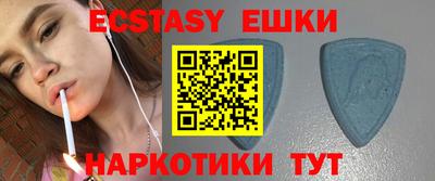 индика Камышлов