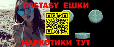 индика Камышлов