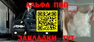 индика Камышлов