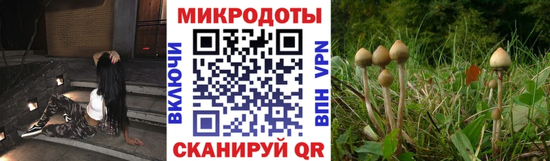 Псилоцибиновые грибы мухоморы  Урай 