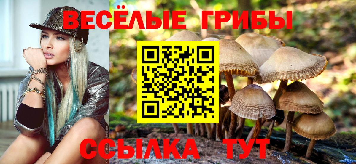 Урай  Галлюциногенные грибы Magic Shrooms  Вход с VPN 