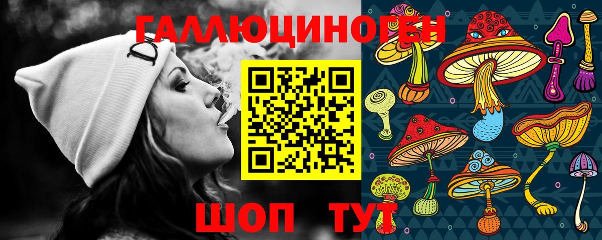 Галлюциногенные грибы Psilocybe Урай