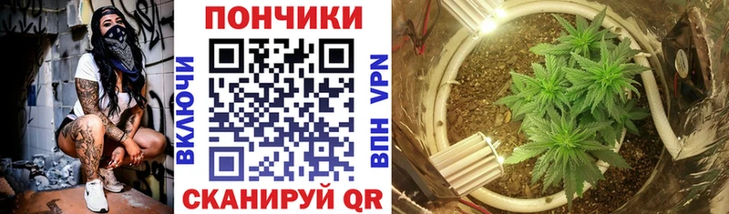 Каннабис White Widow  магазин  наркотиков  Урай 